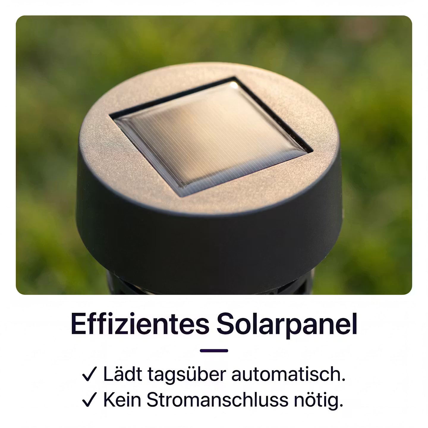 Solar-Mückenfalle für Garten & Terrasse