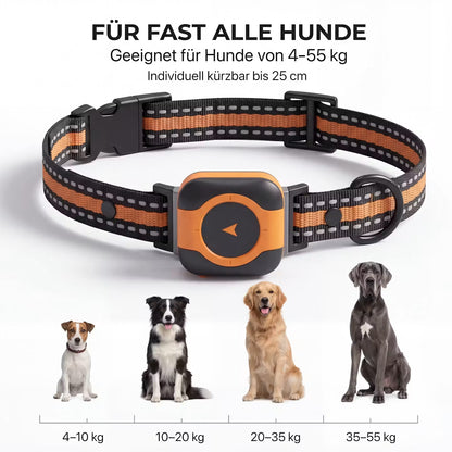 GPS-Tracker Halsband für Hunde & Katzen