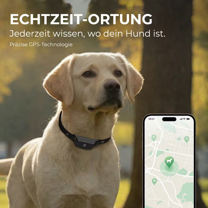 GPS-Tracker Halsband für Hunde & Katzen