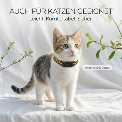 GPS-Tracker Halsband für Hunde & Katzen