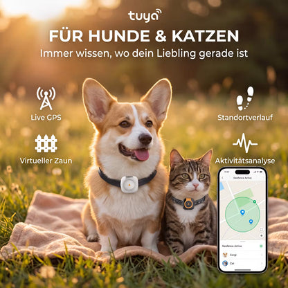 GPS-Tracker Halsband für Hunde & Katzen