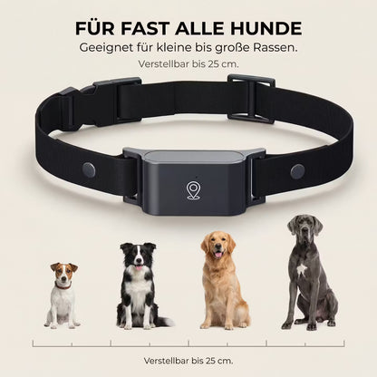 GPS-Tracker Halsband für Hunde & Katzen