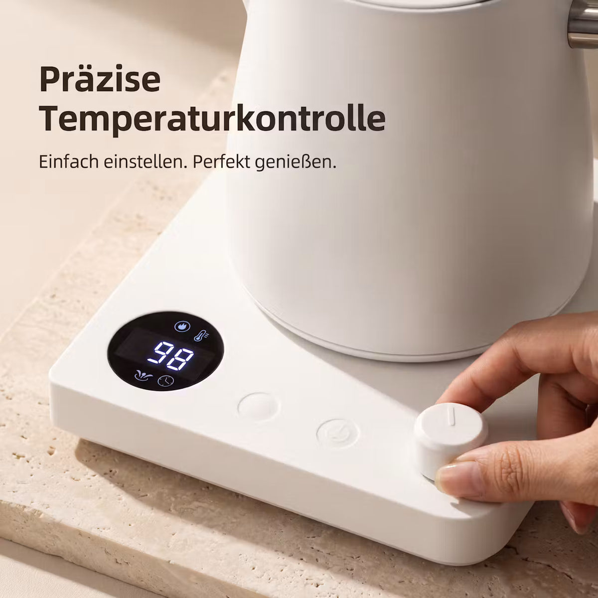 Elektrischer Gooseneck-Wasserkocher mit Temperaturregelung