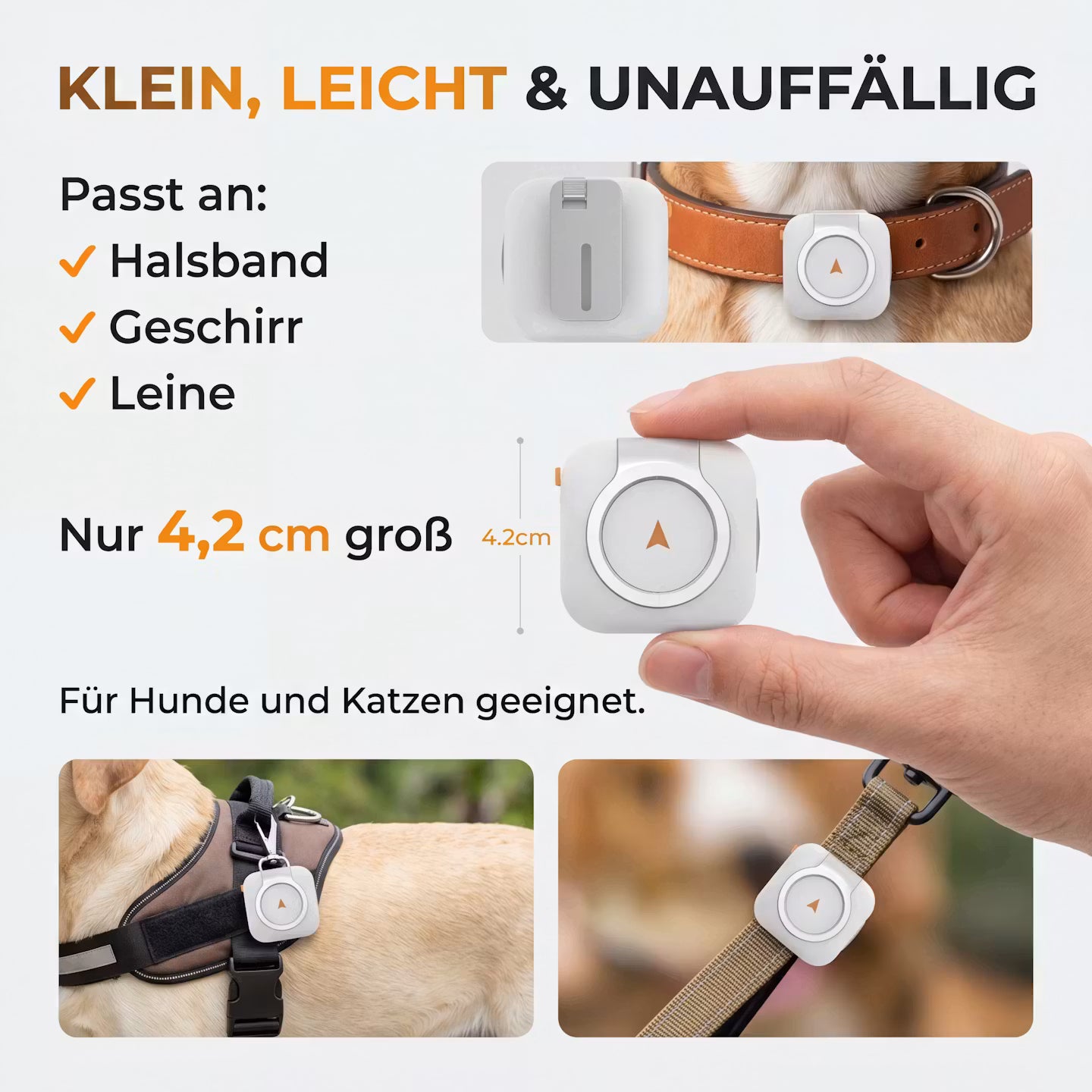 GPS-Tracker Halsband für Hunde & Katzen
